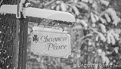 Snowy Cactus in the winter Stock Photo