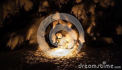 Snowy Cactus in the winter Stock Photo