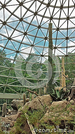 Cacti at the Desert Exhibit at NC Zoo Stock Photo