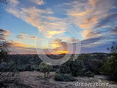 Cacti desert landscape Arizona sky clouds Stock Photo