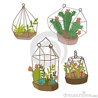 Cacti plants planter hanging pot under glass greenhouse mini garden hand drawn elements separately on a white Stock Photo