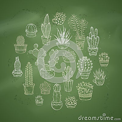 Cacti and succulents round vector illustration. Vector Illustration