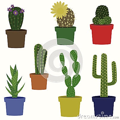 Cacti vector collection. Vector Illustration