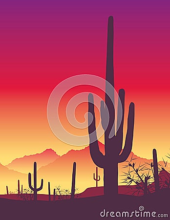 Cactus Vector Illustration