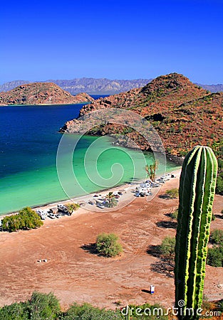 Cactus, beach and sea Stock Photo