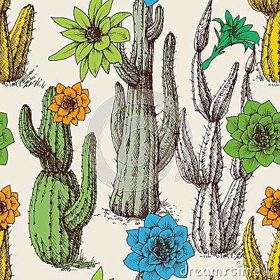 Cactus in bloom seamless pattern Vector Illustration