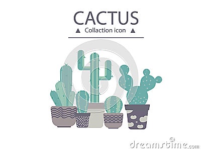 Cactus colection set owls seamless pattern. Funny forest background. Vector Illustration