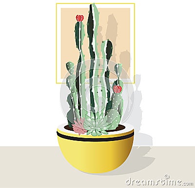 Cactus collection on white background. Stock Photo