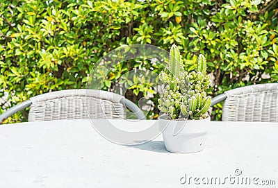 cactus decoration on table Stock Photo