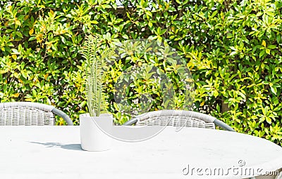 cactus decoration on table Stock Photo