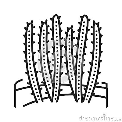 Cactus desert black line icon. Type of cacti. Grow in extremely dry environments. Pictogram for web page, mobile app, promo. UI UX Stock Photo