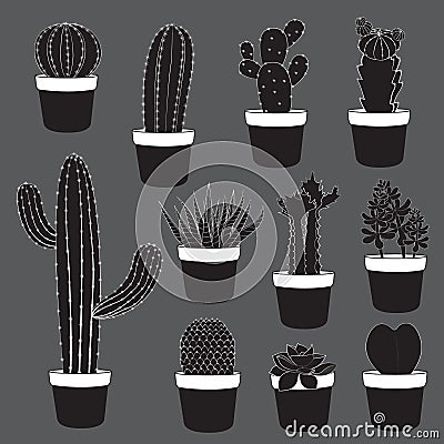 Cactus and Desert Plants Collection Vector Illustration