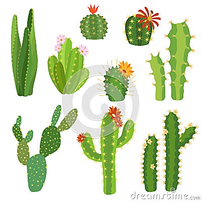 Cactus flower. Bright cacti aloe leaves exotic cactuses plants summer desert tropical flora cartoon botanical collection Vector Illustration