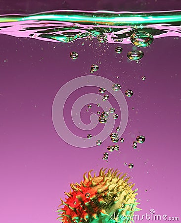 Cactus fruit in water Stock Photo