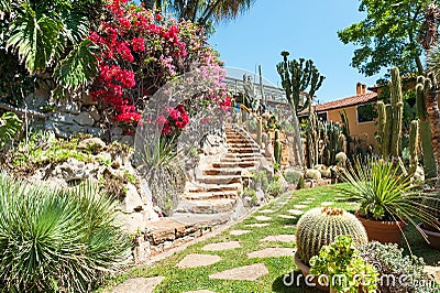 Garden of exotic plants Pallanca Stock Photo