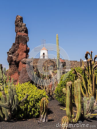 Cactus Garden in Lanzarote, Canary Islands. Stock Photo