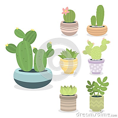 Cactus green plant cactaceous home nature cacti vector illustration of tree with flower Vector Illustration