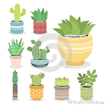 Cactus green plant cactaceous home nature cacti vector illustration of tree with flower Vector Illustration