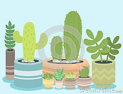 Cactus green plant cactaceous home nature cacti vector illustration of tree with flower Vector Illustration