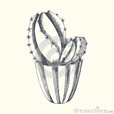 Cactus. Hand drawing. Vector illustration for design Vector Illustration