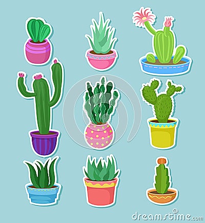 Cactus home plants in pots with flowers set, variety of decorative cacti stickers vector Illustrations Vector Illustration