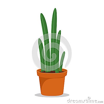 Cactus houseplant in flower pot. Cactus icon in a flat style on a white background. Succulent plant Vector Illustration