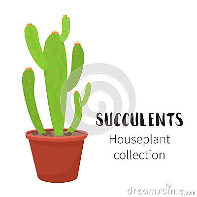 Cactus icons in a flat style on a white background. Home plants cactus in pots and with flowers. A variety of decorative Vector Illustration