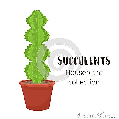 Cactus icons in a flat style on a white background. Home plants cactus in pots and with flowers. A variety of decorative Vector Illustration