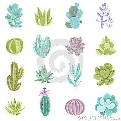 Cactus Icons Set Vector Illustration