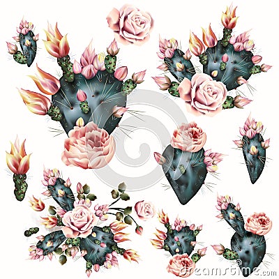 Cactus illustration with pink flowers. Realistic botanical background Cartoon Illustration