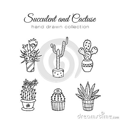 Cactus illustration. Vector succulent and cacti hand drawn set. In door plants in pots. Vector Illustration