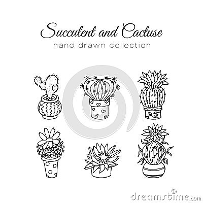 Cactus illustration. Vector succulent and cacti hand drawn set. In door plants in pots. Vector Illustration