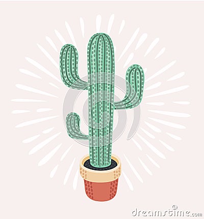 Cactus isolated on white background. Vector Illustration