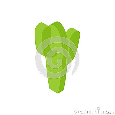 Cactus Isometric style isolated. Desert plant Vector Illustration Vector Illustration