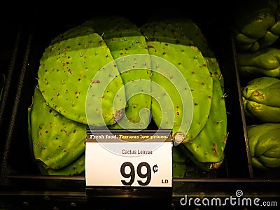 Cactus Leaves Stock Photo