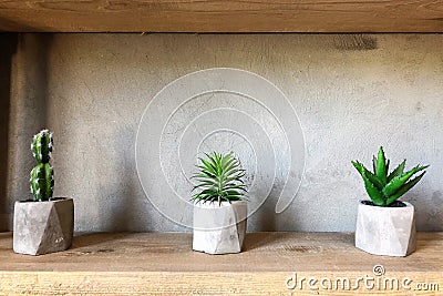 Cactus in loft interior. Succulents in concrete pots. Stock Photo