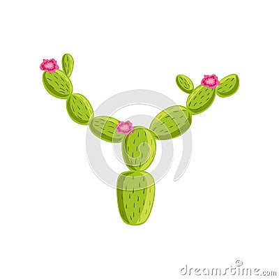 Cactus Mexican Culture Symbol Vector Illustration