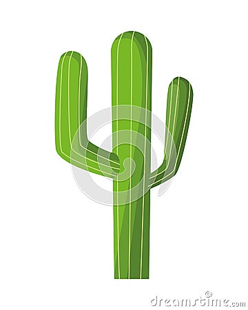 Cactus mexican plant isolated icon Vector Illustration