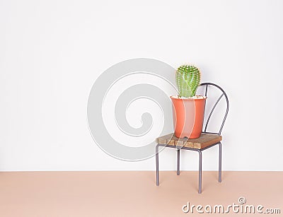 Cactus and mini chair, minimalism style Stock Photo