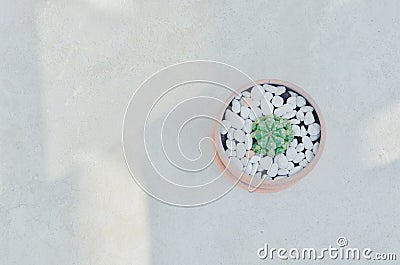 Baton tree, top view. Stock Photo