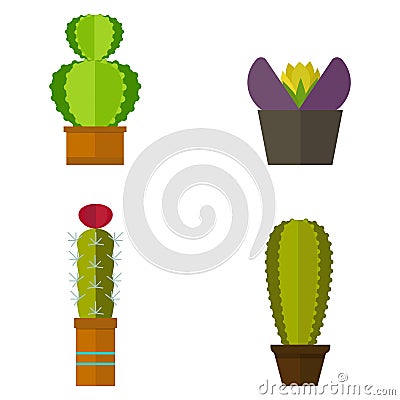 Cactus nature desert flower green mexican succulent tropical plant cacti floral vector illustration. Vector Illustration