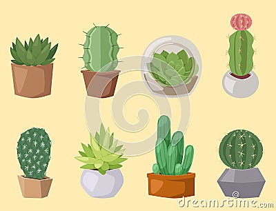 Cactus nature desert flower green mexican succulent tropical plant cacti floral vector illustration. Vector Illustration