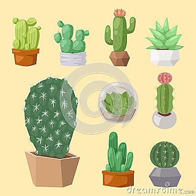 Cactus nature desert flower green mexican succulent tropical plant cacti floral vector illustration. Vector Illustration