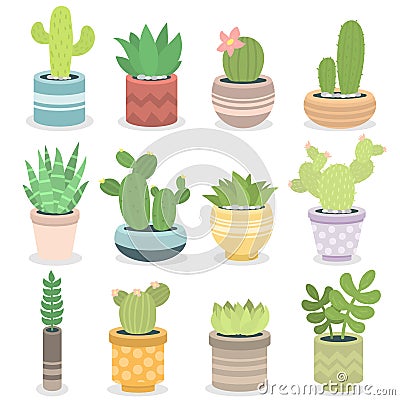 Cactus nature green succulent tropical plant vector illustration. Vector Illustration