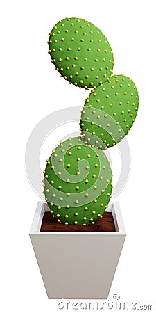 Cactus Opuntia microdasys picture. 3d rendering. Stock Photo