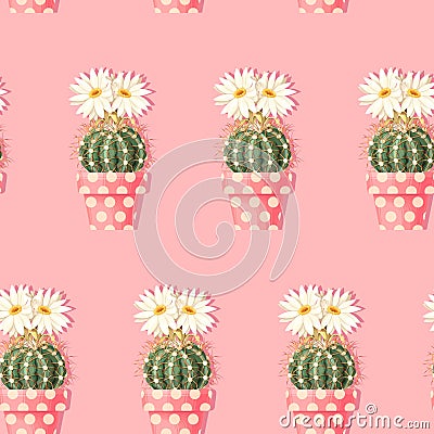 Cactus with pink flowers on the light background Vector Illustration