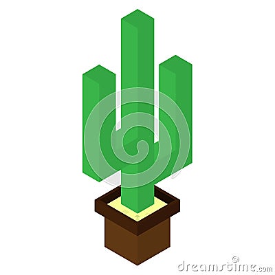 Cactus plant 3d vector and illustration design. isolated cactus in pots on a white background. isometry Vector Illustration