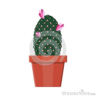 Cactus plant in flower pot. Decoration home plant. Vector Illustration