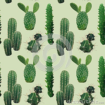 Cactus Plant Seamless Pattern. Exotic Tropical Summer Botanical Background. Vector Illustration