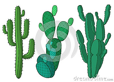 Cactus plants vector illustration Vector Illustration